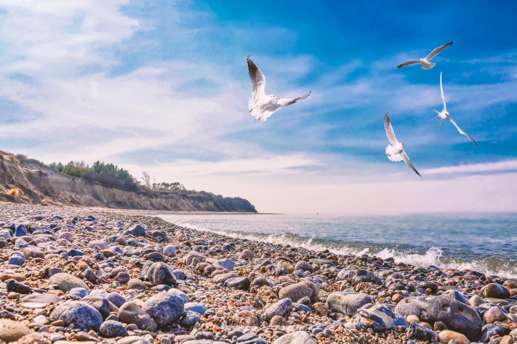 Baumzeltdorf Ostseebreeze Direkt Am Strand Dranske Εξωτερικό φωτογραφία